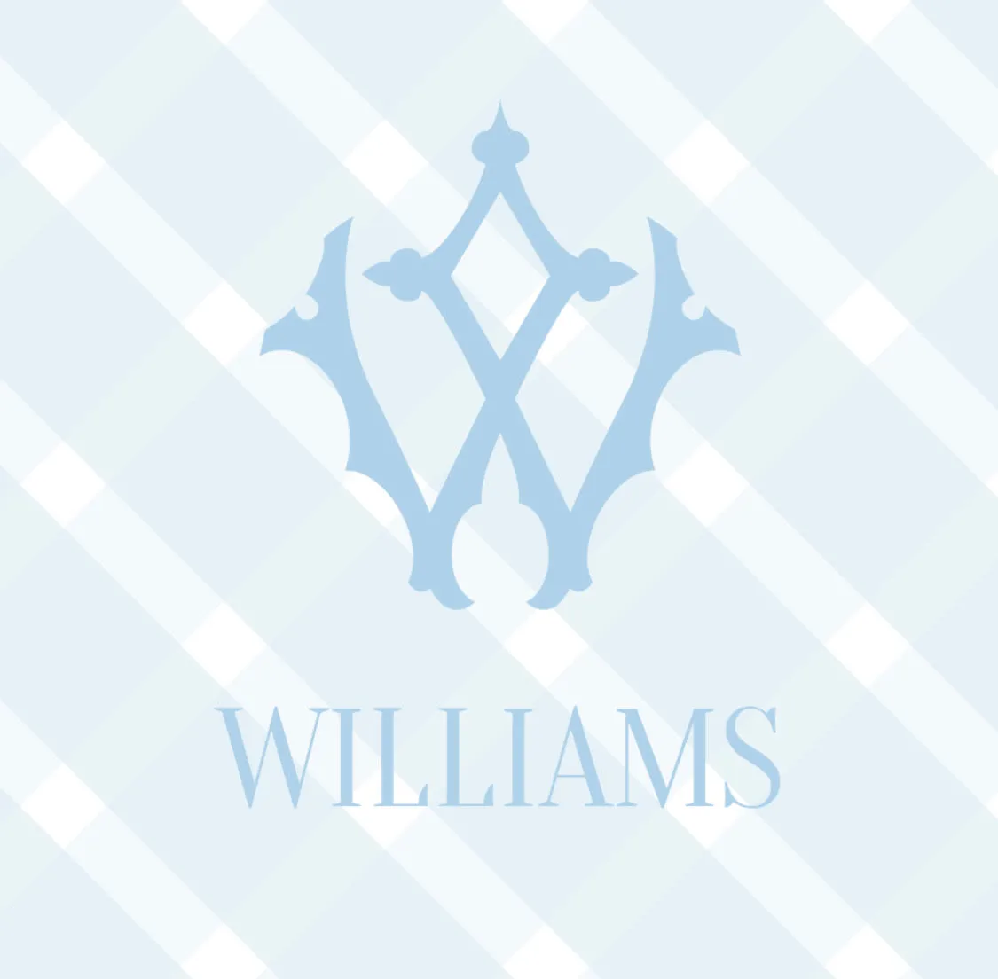 Preppy Check Calling Cards Blue